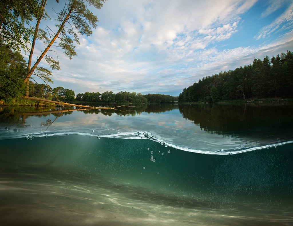 Mineralisierte Bodensedimente im See nach Anwendung des Bakterienpräparats EcoGerm Lakes