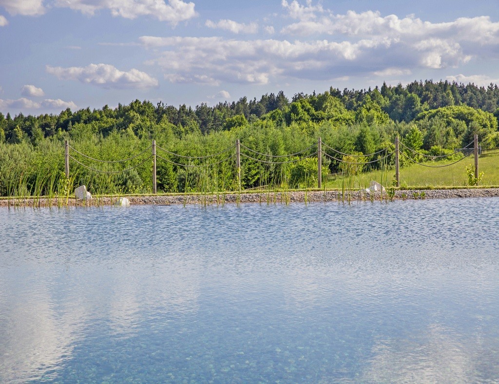 Naturschwimmbad mit Blick auf den Wald